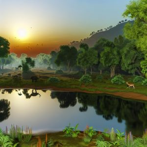 Bhadra Wildlife Sanctuary